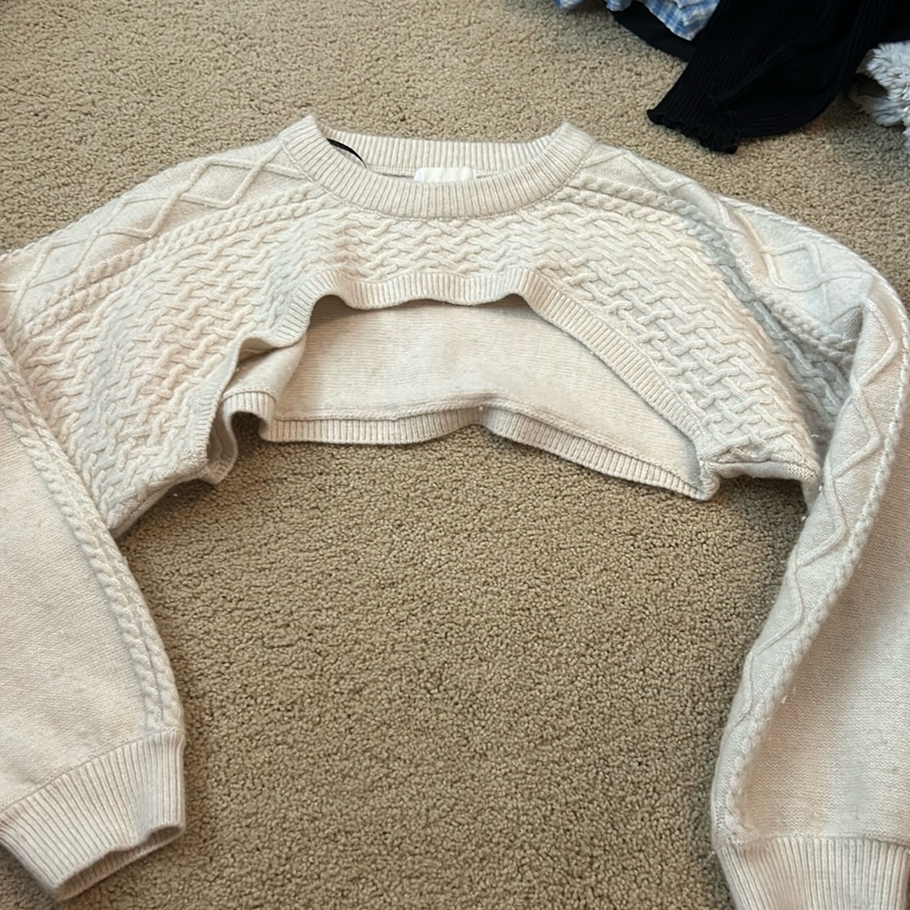 H&M cropped sweater
